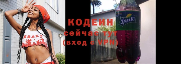 кокс Касимов