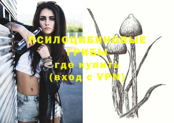 кокс Касимов