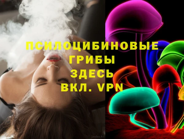 кокс Касимов
