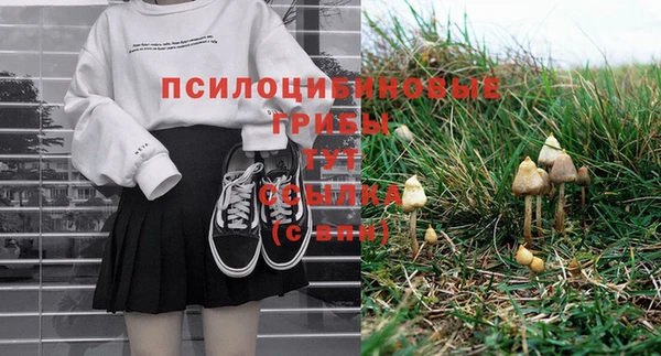 MESCALINE Карпинск